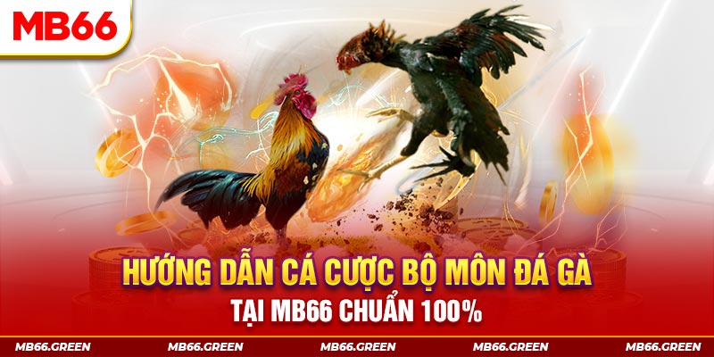 33win1 chơi baccarat là gì