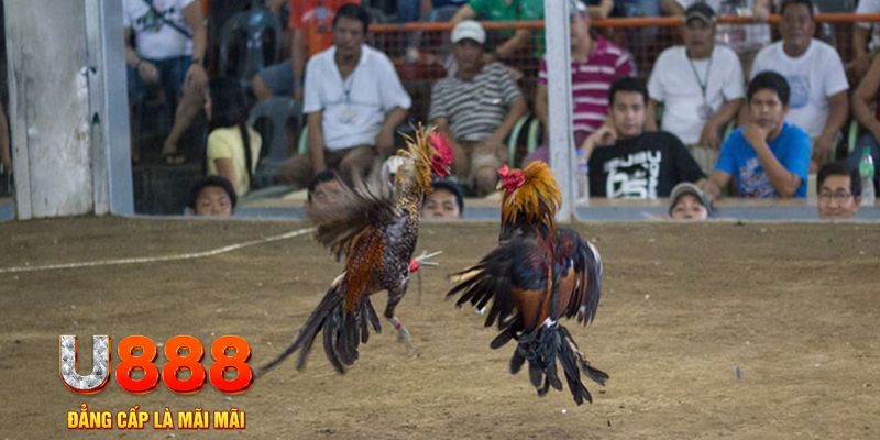 33win1 đăng nhập mậu binh khuyến mãi