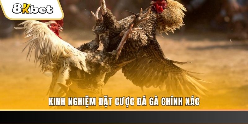 33win1 xổ số thứ bảy hàng tuần