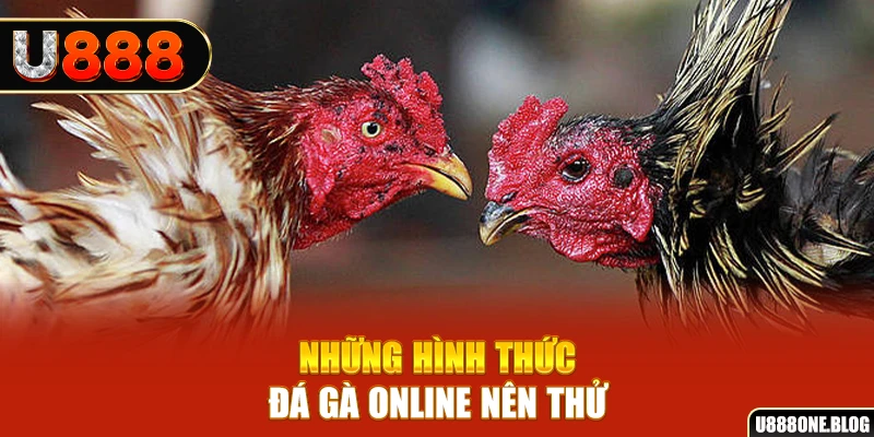 33win1 nổ hũ ai là gì