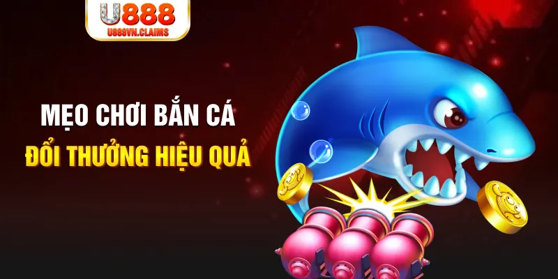 33win1 gà chọi cam ranh