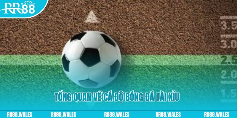 33win1 đăng nhập roulette online