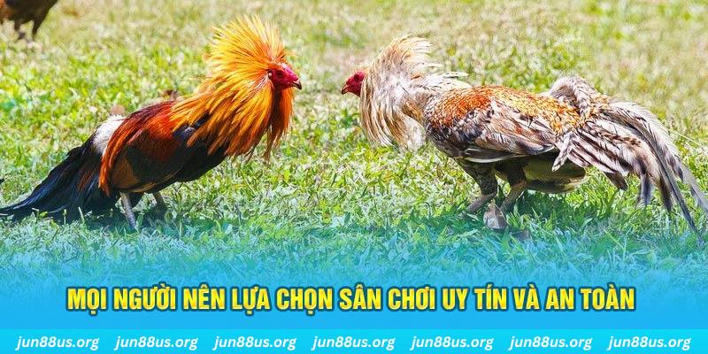 33win1 Cỡ bảy
