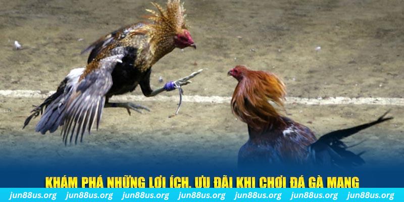 33win1 đăng nhập liêng live