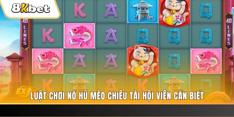 33win1 gà chọi cu cần