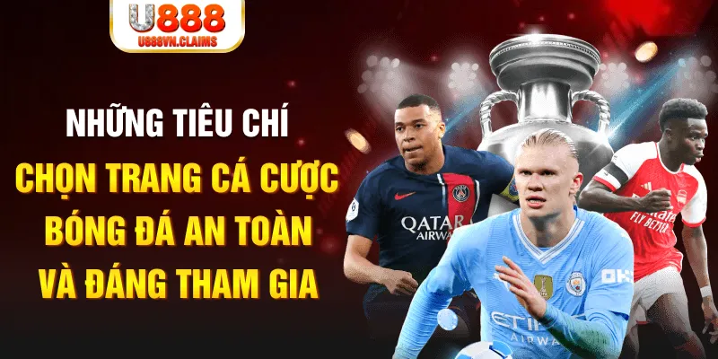 33win1 cá cược thể thao là gì