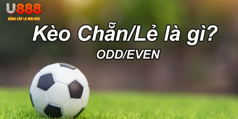 33win1 đăng nhập sòng bạc 2024