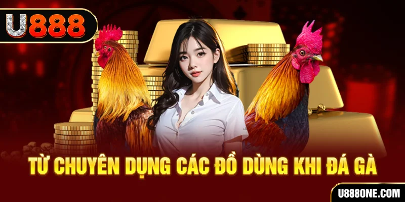 33win1 đá gà trực tiếp campuchia